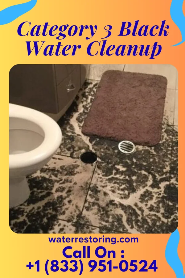 Category 3 Black Water Cleanup in West Canaveral Groves, FL