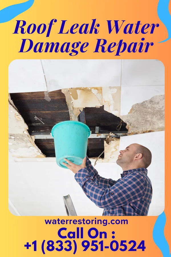 Roof Leak Water Damage Repair in West Canaveral Groves, FL
